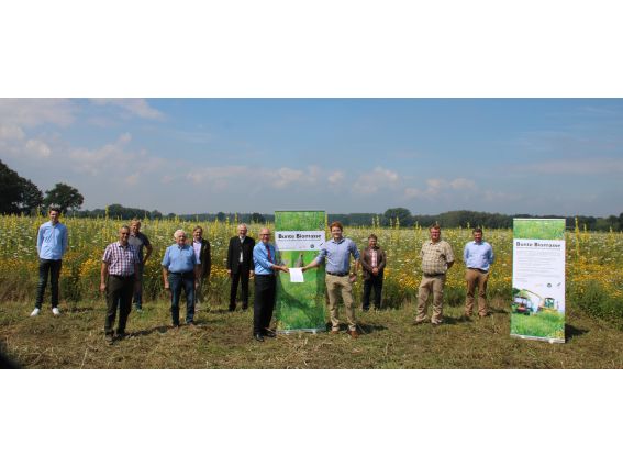 Projekt "Bunte Biomasse" - Wildblumen auf dem Feld von Landwirt Richard Schulte © Foto Kreis Paderborn